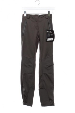 Γυναικείο παντελόνι DLX, Μέγεθος XS, Χρώμα Πράσινο, Τιμή 63,40 €