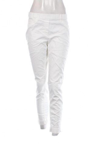 Γυναικείο παντελόνι Peter Hahn, Μέγεθος L, Χρώμα Λευκό, Τιμή 11,99 €