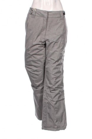 Γυναίκειο παντελόνι για χειμερινά σπορ Crane, Μέγεθος XL, Χρώμα Γκρί, Τιμή 25,99 €
