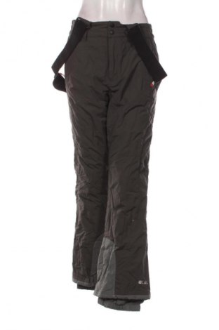 Γυναίκειο παντελόνι για χειμερινά σπορ Unbranded, Μέγεθος M, Χρώμα Γκρί, Τιμή 16,99 €