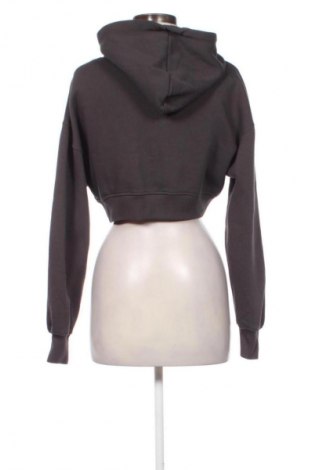 Γυναικείο φούτερ Sinsay, Μέγεθος S, Χρώμα Γκρί, Τιμή 20,99 €