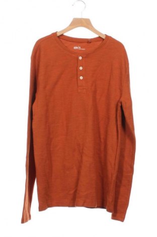 Kinder Shirt Anko, Größe 15-18y/ 170-176 cm, Farbe Braun, Preis 7,99 €