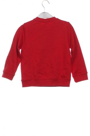 Gyerek blúz Blu Kids, Méret 18-24m / 86-98 cm, Szín Piros, Ár 2 899 Ft