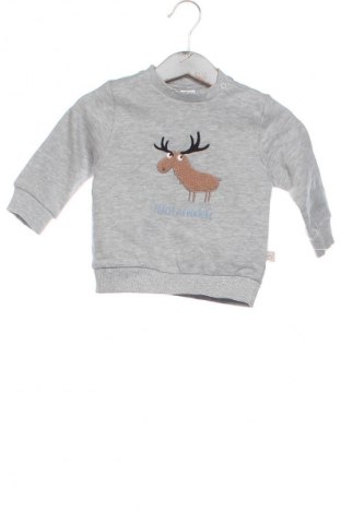 Детска блуза Coolclub, Размер 3-6m/ 62-68 см, Цвят Сив, Цена 8,18 €