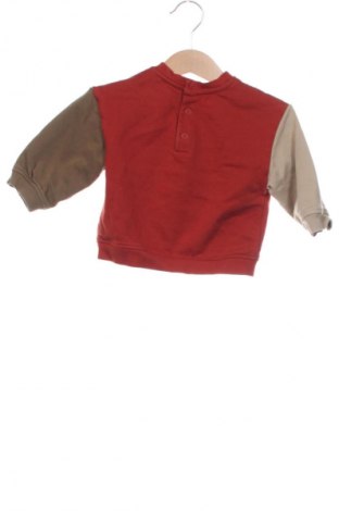 Детска блуза Du Pareil Au Meme, Размер 6-9m/ 68-74 см, Цвят Многоцветен, Цена 10,69 €