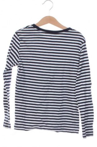 Детска блуза H&M, Размер 5-6y/ 116-122 см, Цвят Многоцветен, Цена 6,00 €