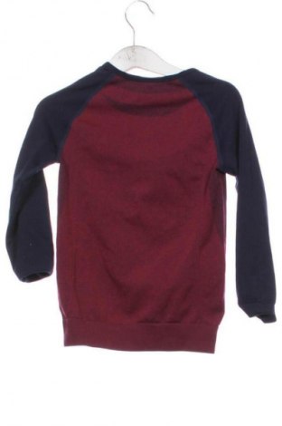 Детска блуза Lupilu, Размер 4-5y/ 110-116 см, Цвят Многоцветен, Цена 4,09 €