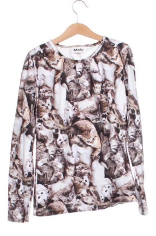 Kinder Shirt Molo, Größe 10-11y/ 146-152 cm, Farbe Mehrfarbig, Preis 10,99 €