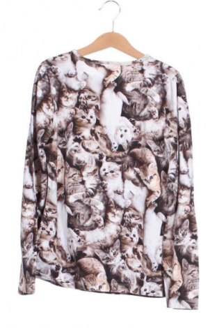 Kinder Shirt Molo, Größe 10-11y/ 146-152 cm, Farbe Mehrfarbig, Preis 10,99 €