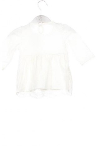 Dziecięca bluzka PatPat, Rozmiar 1-2m/ 50-56 cm, Kolor Kolorowy, Cena 30,99 zł