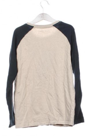 Παιδική μπλούζα TCM, Μέγεθος 10-11y/ 146-152 εκ., Χρώμα Πολύχρωμο, Τιμή 3,99 €