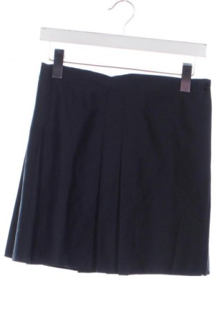 Детска пола Unbranded, Размер 12-13y/ 158-164 см, Цвят Син, Цена 10,22 €