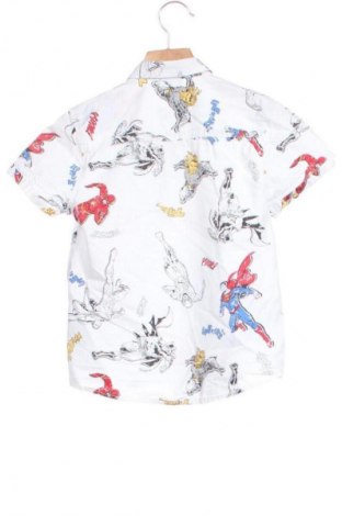 Детска риза DC Comics, Размер 5-6y/ 116-122 см, Цвят Многоцветен, Цена 5,11 €