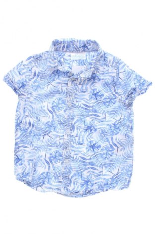 Dziecięca koszula Pepco, Rozmiar 9-12m/ 74-80 cm, Kolor Kolorowy, Cena 26,99 zł