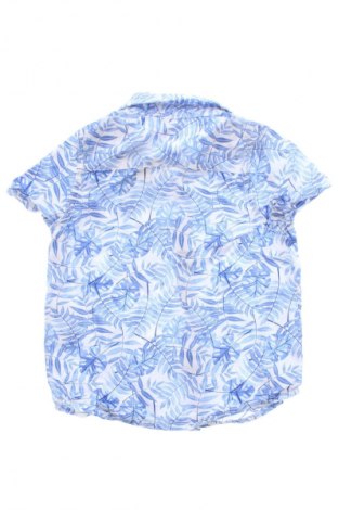 Dziecięca koszula Pepco, Rozmiar 9-12m/ 74-80 cm, Kolor Kolorowy, Cena 26,99 zł