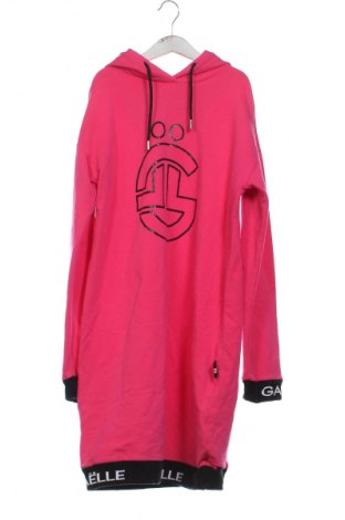 Detské šaty  Gaelle Paris, Veľkosť 15-18y/ 170-176 cm, Farba Ružová, Cena  10,95 €