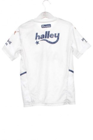 Детска тениска PUMA, Размер 8-9y/ 134-140 см, Цвят Многоцветен, Цена 9,20 €