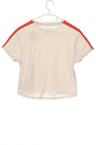 Детска тениска TCM, Размер 12-13y/ 158-164 см, Цвят Многоцветен, Цена 3,06 €