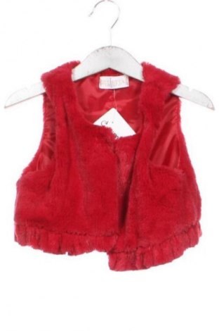 Παιδικό γιλέκο Unbranded, Μέγεθος 2-3y/ 98-104 εκ., Χρώμα Κόκκινο, Τιμή 9,99 €