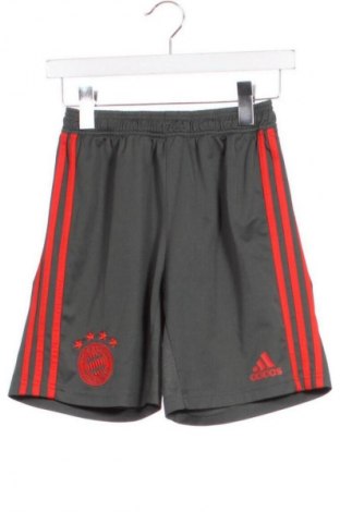 Детски къс панталон Adidas, Размер 13-14y/ 164-168 см, Цвят Многоцветен, Цена 10,73 €