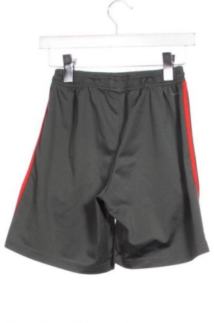 Детски къс панталон Adidas, Размер 13-14y/ 164-168 см, Цвят Многоцветен, Цена 10,73 €
