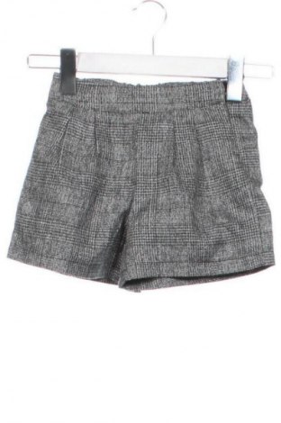 Детски къс панталон Primigi, Размер 2-3m/ 56-62 см, Цвят Многоцветен, Цена 4,60 €