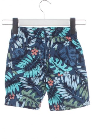 Детски къс панталон Unbranded, Размер 2-3m/ 56-62 см, Цвят Многоцветен, Цена 3,57 €