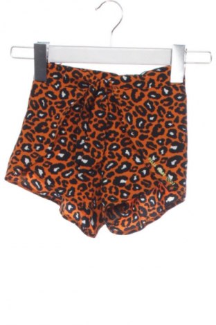 Детски къс панталон WE, Размер 2-3y/ 98-104 см, Цвят Многоцветен, Цена 3,06 €