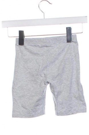 Детски къс панталон Y.F.K., Размер 6-7y/ 122-128 см, Цвят Сив, Цена 3,57 €