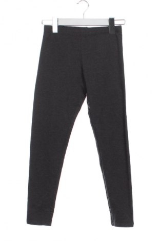 Dziecięce legginsy Alive, Rozmiar 9-10y/ 140-146 cm, Kolor Szary, Cena 19,99 zł