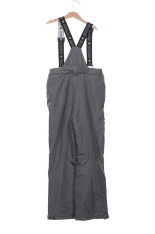 Детски панталон за зимни спортове Crane, Размер 10-11y/ 146-152 см, Цвят Сив, Цена 15,33 €