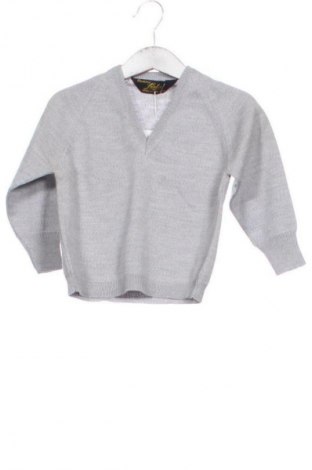Детски пуловер Unbranded, Размер 3-4y/ 104-110 см, Цвят Сив, Цена 5,62 €