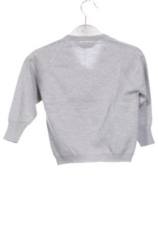 Детски пуловер Unbranded, Размер 3-4y/ 104-110 см, Цвят Сив, Цена 5,62 €