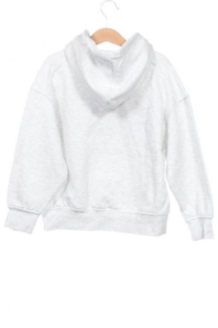 Детски суитшърт Zara, Размер 5-6y/ 116-122 см, Цвят Многоцветен, Цена 7,00 €