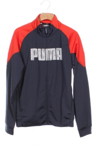 Детско спортно горнище PUMA, Размер 10-11y/ 146-152 см, Цвят Многоцветен, Цена 10,73 €