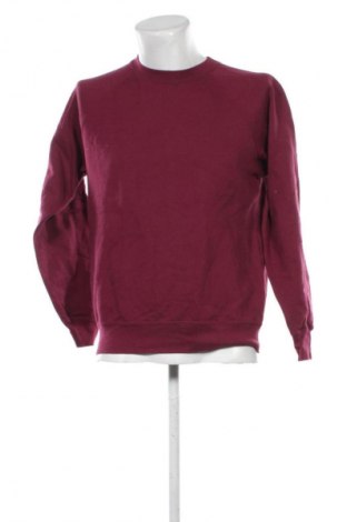 Pánské tričko  Fruit Of The Loom, Velikost M, Barva Fialová, Cena  199,00 Kč