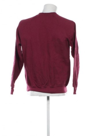 Pánské tričko  Fruit Of The Loom, Velikost M, Barva Fialová, Cena  199,00 Kč