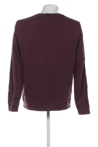 Herren Shirt Lyle & Scott, Größe L, Farbe Rot, Preis € 36,99