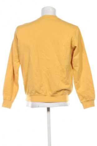 Ανδρική μπλούζα Navigare, Μέγεθος M, Χρώμα Κίτρινο, Τιμή 31,99 €
