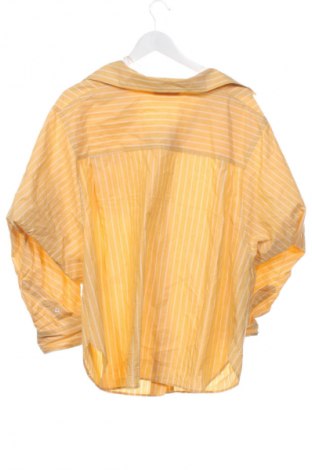 Pánská košile  Zara, Velikost M, Barva Vícebarevné, Cena  169,00 Kč