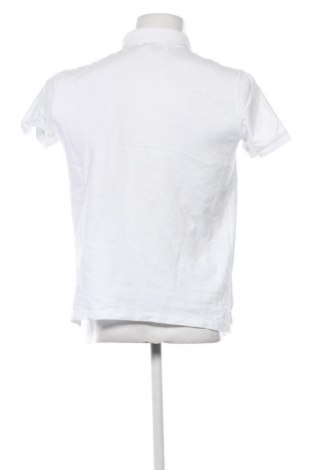 Męski T-shirt Aiiz, Rozmiar L, Kolor Biały, Cena 51,99 zł