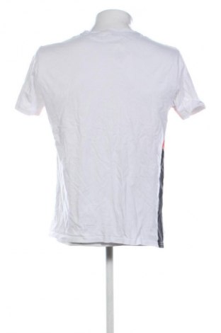 Herren T-Shirt Everlast, Größe L, Farbe Mehrfarbig, Preis € 7,99