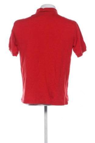 Herren T-Shirt Lacoste, Größe L, Farbe Rot, Preis € 28,26