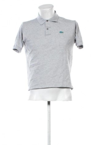 Herren T-Shirt Lacoste, Größe M, Farbe Mehrfarbig, Preis € 28,00