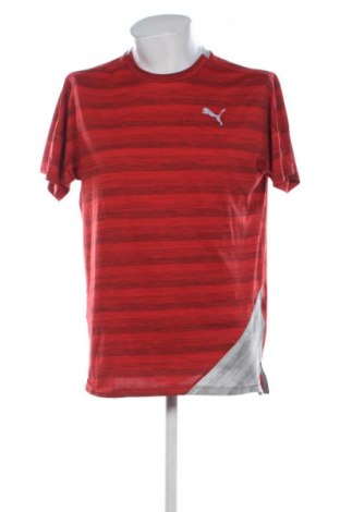 Herren T-Shirt PUMA, Größe L, Farbe Mehrfarbig, Preis € 14,00