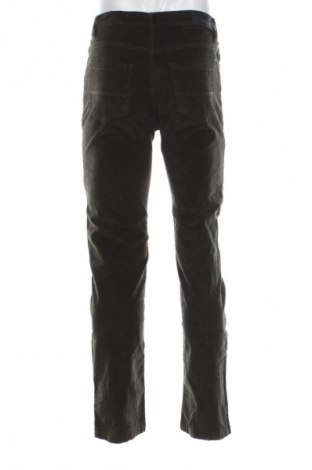 Herren Cordhose Coveri, Größe M, Farbe Grün, Preis € 7,99