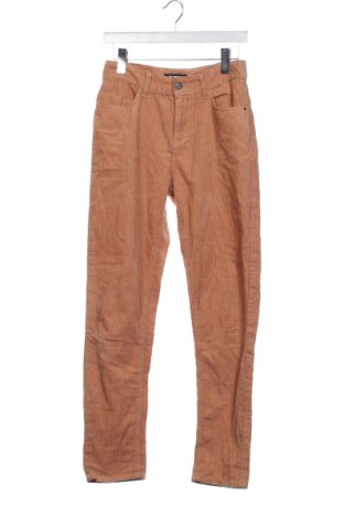 Мъжки джинси Terranova, Размер XS, Цвят Кафяв, Цена 2,55 €