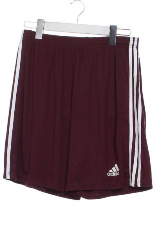 Herren Shorts Adidas, Größe XS, Farbe Rot, Preis € 15,99