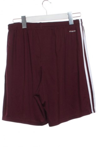 Herren Shorts Adidas, Größe XS, Farbe Rot, Preis € 15,99