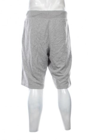 Herren Shorts Champion, Größe XL, Farbe Mehrfarbig, Preis € 10,00